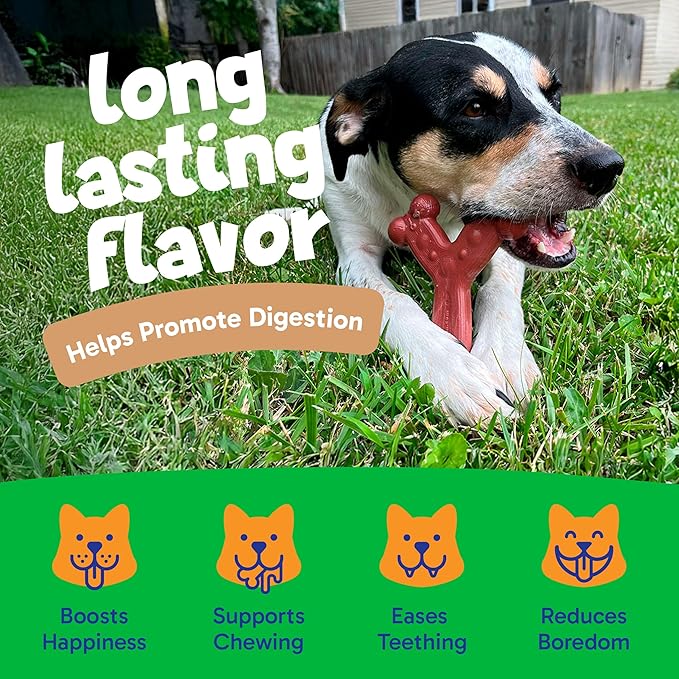 Chew'ems Durable Chew Toys for Small Dogs, Long-Lasting & Flavorful Chew Dog Toys, Small Dog Breeds | Beef-Flavored