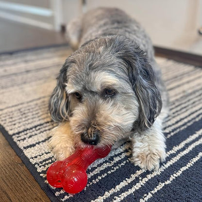 SPOT Play Strong Bone- Durable TPR Long Lasting Dog Chew for Aggressive Chewers, Hole for Treats, Virtually Indestructible Toy for Small and Medium Dogs & Puppies - 4.5 inch