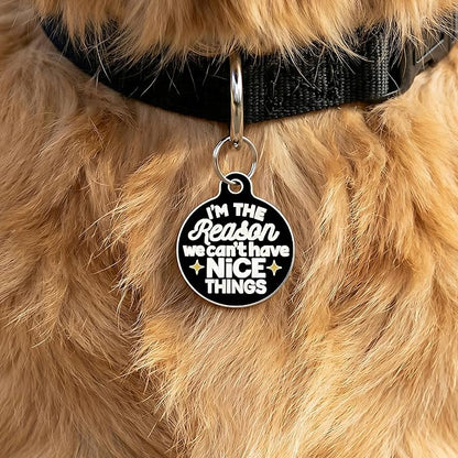 Bad Tags Personalized Dog and Cat ID Tags in 25+ Designs and 2 Sizes - 5 Lines of Custom Engraved Text - Funny Cute Personalized Pet Tags (I'm The Reason We Can't Have Nice Things, Small (1 inch))