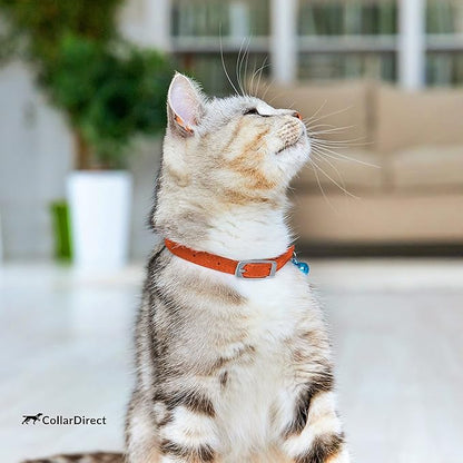 CollarDirect Leather Cat Collar, Kitten Collar with Removable Bell Black Blue Red Orange Lime Green (6-7 Inch, Orange)