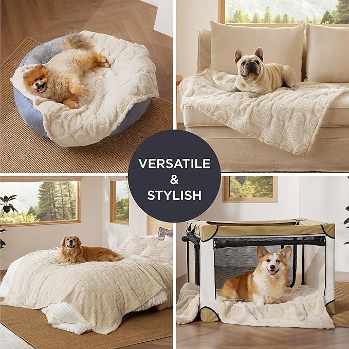 Bedsure Dog Blankets for Medium Dogs Washable - Fluffy Fuzzy Puppy Cat Blanket with Premium 300GSM Coral Fleece Soft for Pet Kitten Doggy, White, 30x40IN