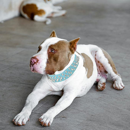 TEEMERRYCA Adjustable PU Leather Spiked Studded Dog Collars with a Squeak Ball Gift for Small Medium Large Pets Like Cats/Pit Bull/Bulldog/Pugs/Husky, Blue, XXL 19.7-22.4 inches