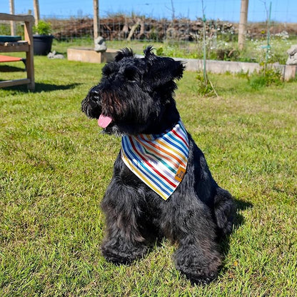 Birthday Dog Bandanas Medium Large, Colorful Sprinkle Stripes, Reversible Soft Breathable Adjustable Scarf for Small Medium Large Dogs Boy Girl Party Outfit Accessory FW2