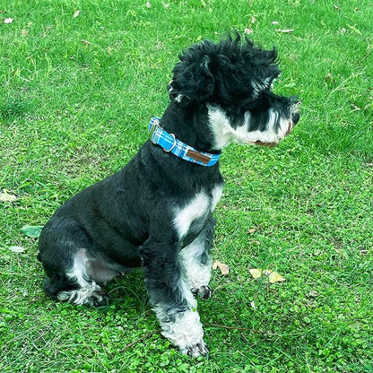 Unique Style Paws Dog Collar with Metal Buckle - Blue Plaid Collar Gift for Small, Medium & Large Dogs